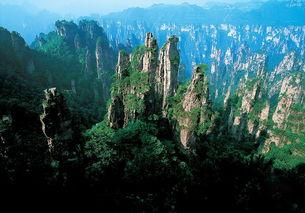 张家界吃瓜爆料视频最新,揭秘网红打卡地背后的真实故事